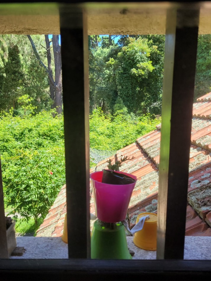 Casa tipo loft 