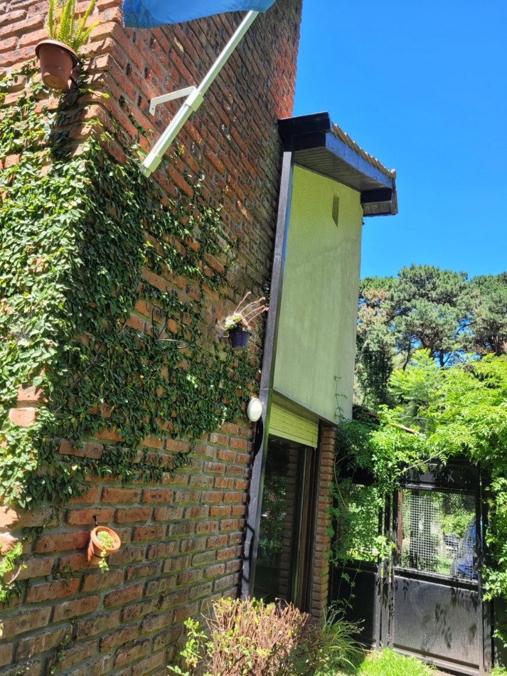 Casa tipo loft 