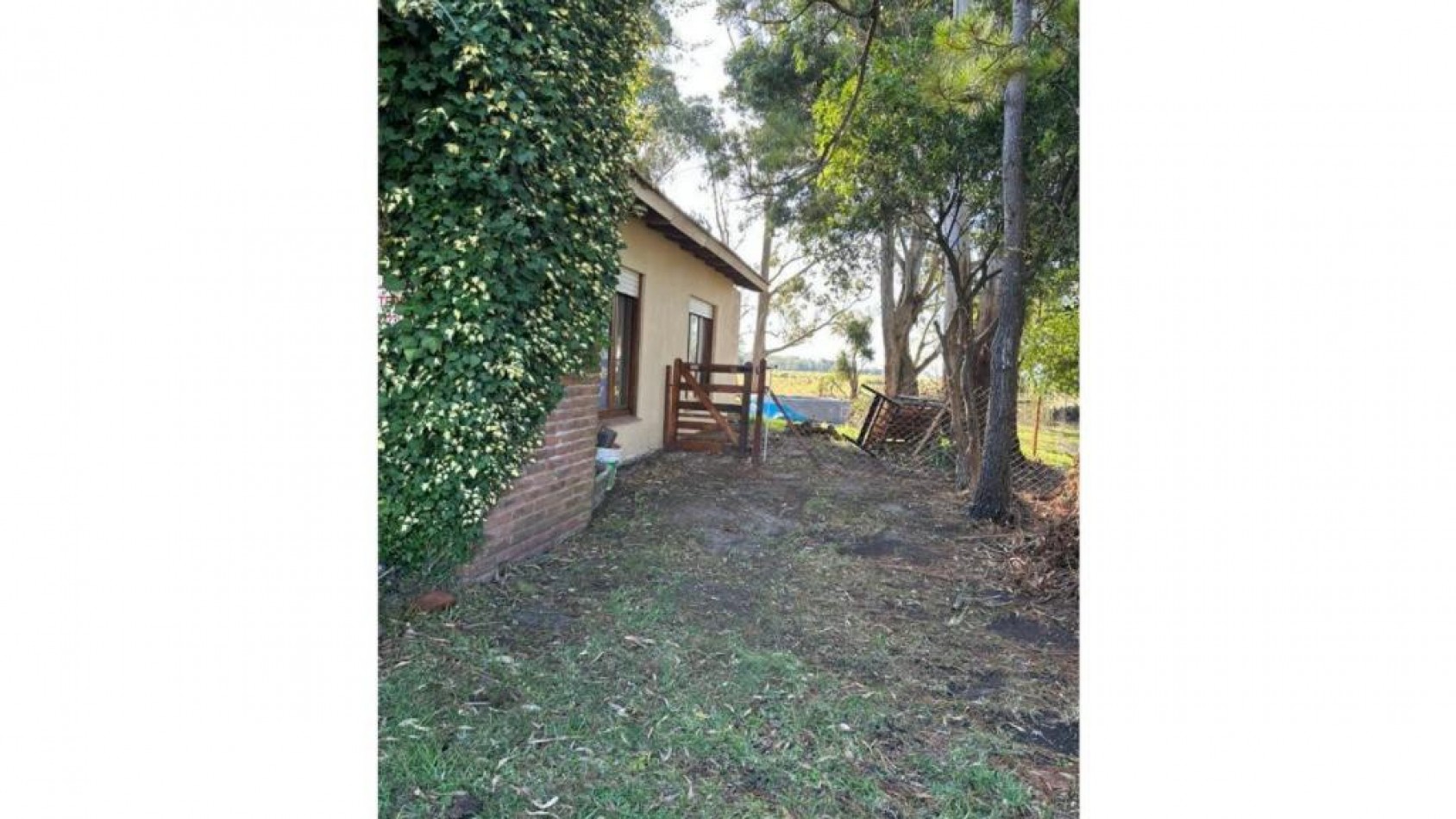 CASA 