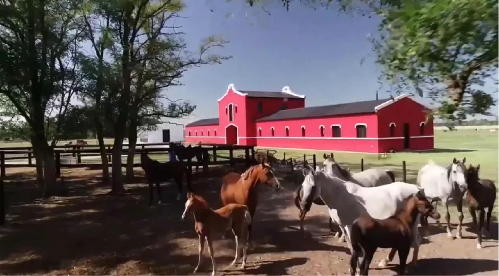 Haras de 30 has, con casa de caseros y mas 