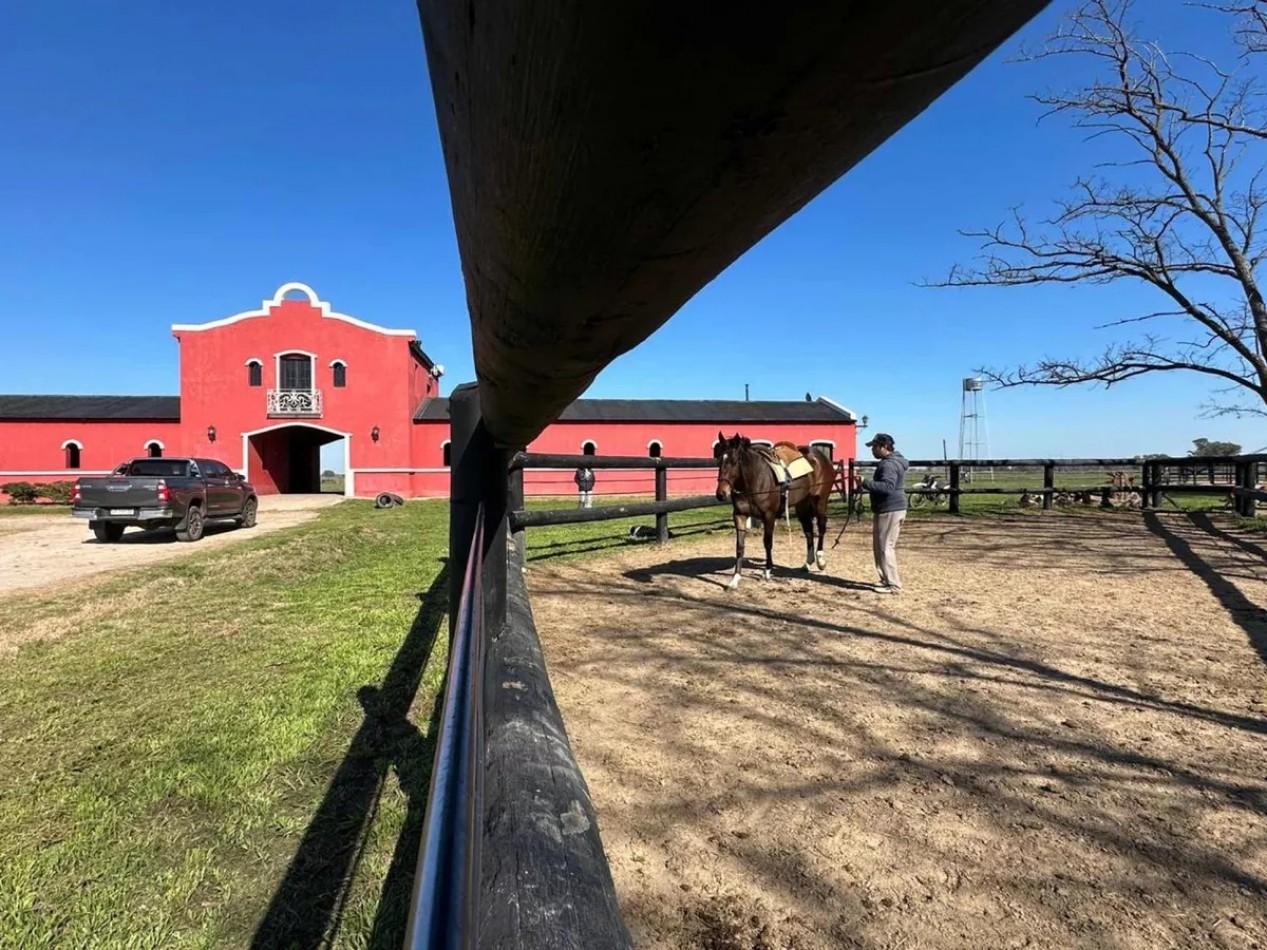 Haras de 30 has, con casa de caseros y mas 