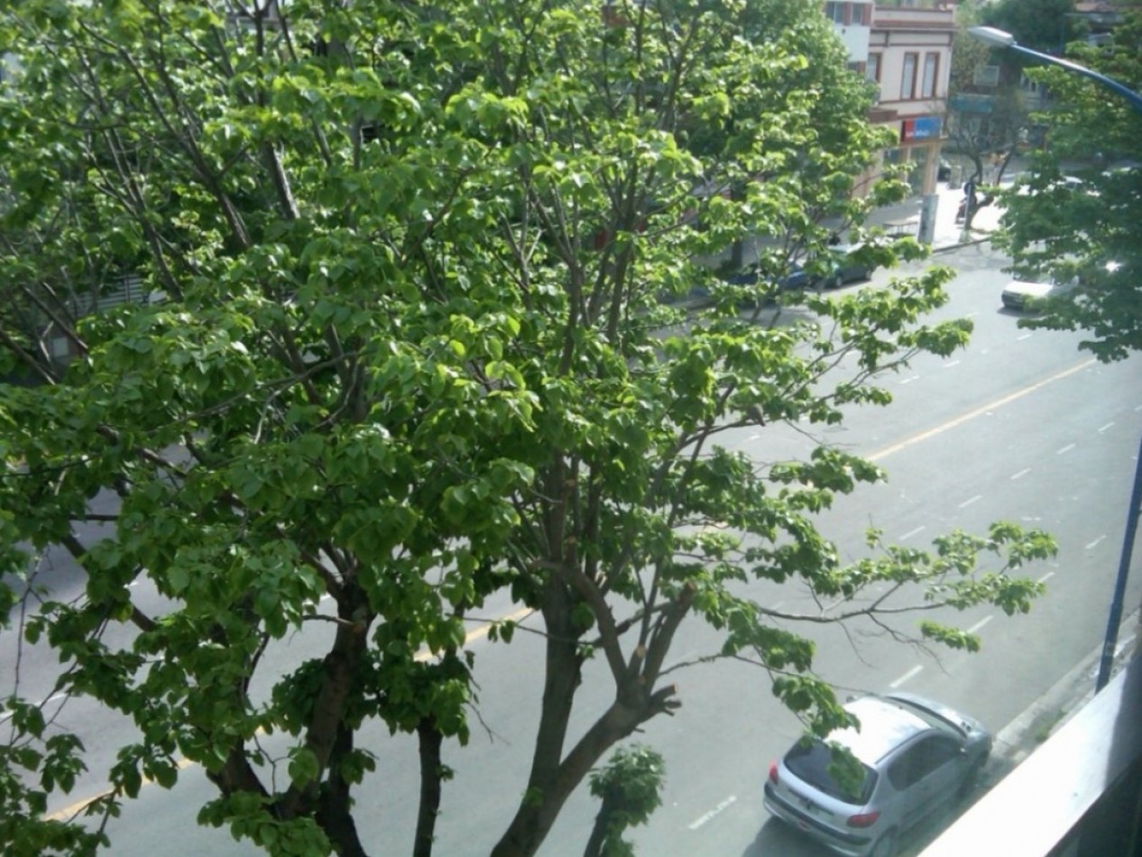 Depto ambiente y medio Colon y Catamarca. Apto credito
