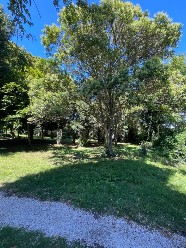 TOMA 3 AMB EN MDQ! CASA EN GLORIA DE LA PEREGRINA SOBRE TRES LOTES 4.250 MTS! 
