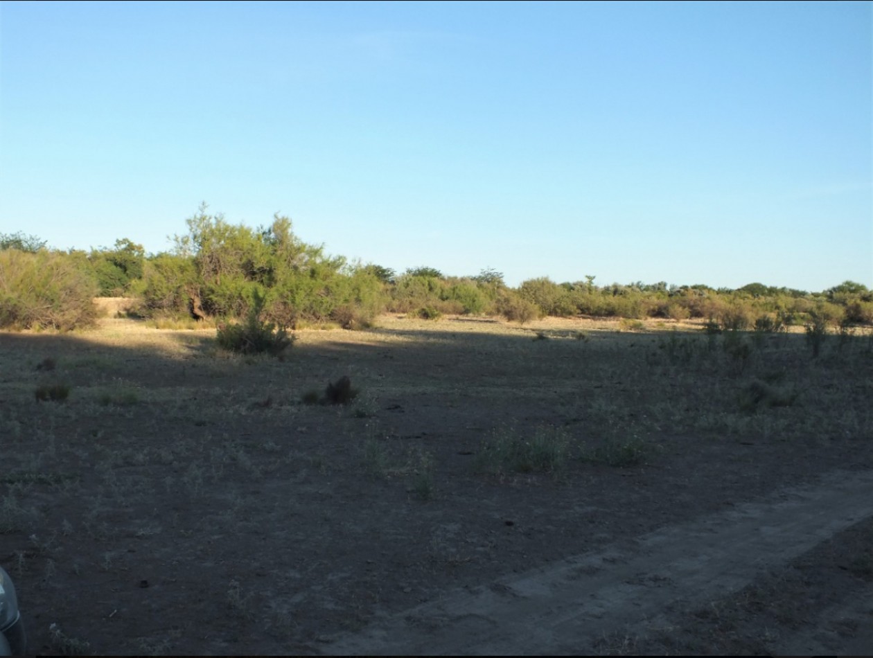Campo de 96ha en Rio Negro