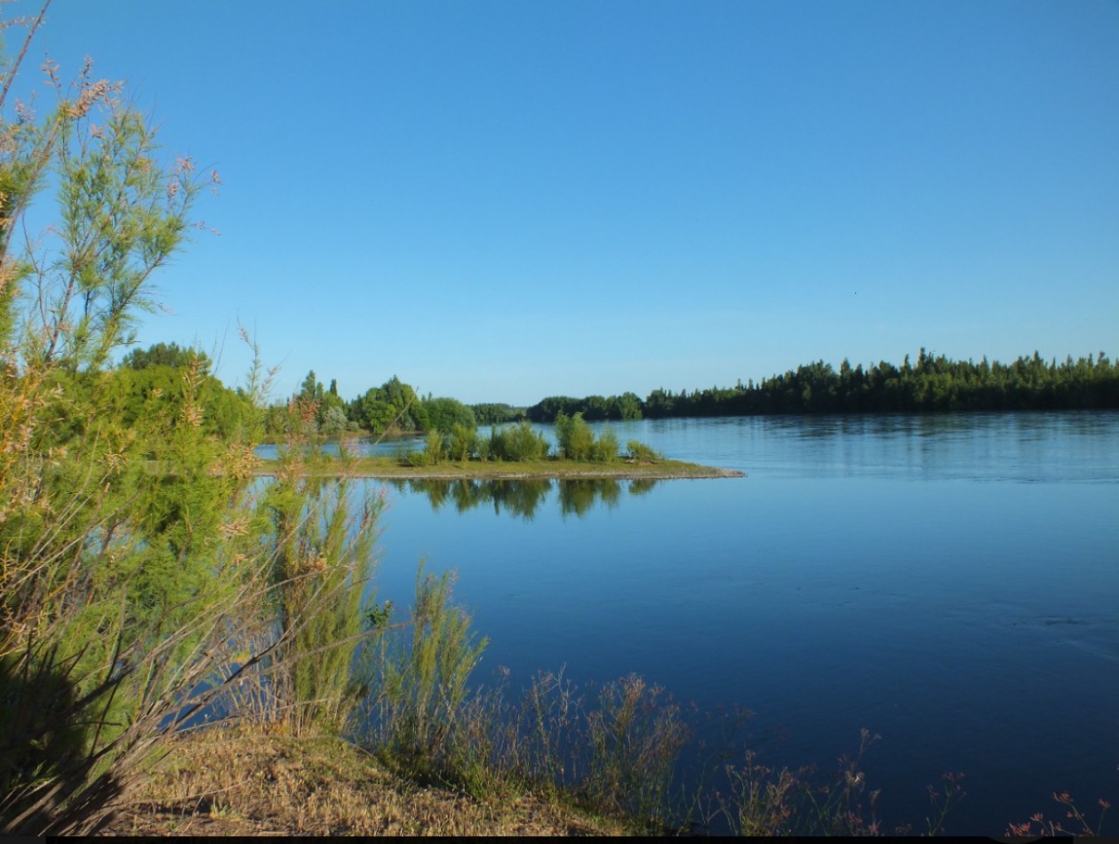 Campo de 96ha en Rio Negro