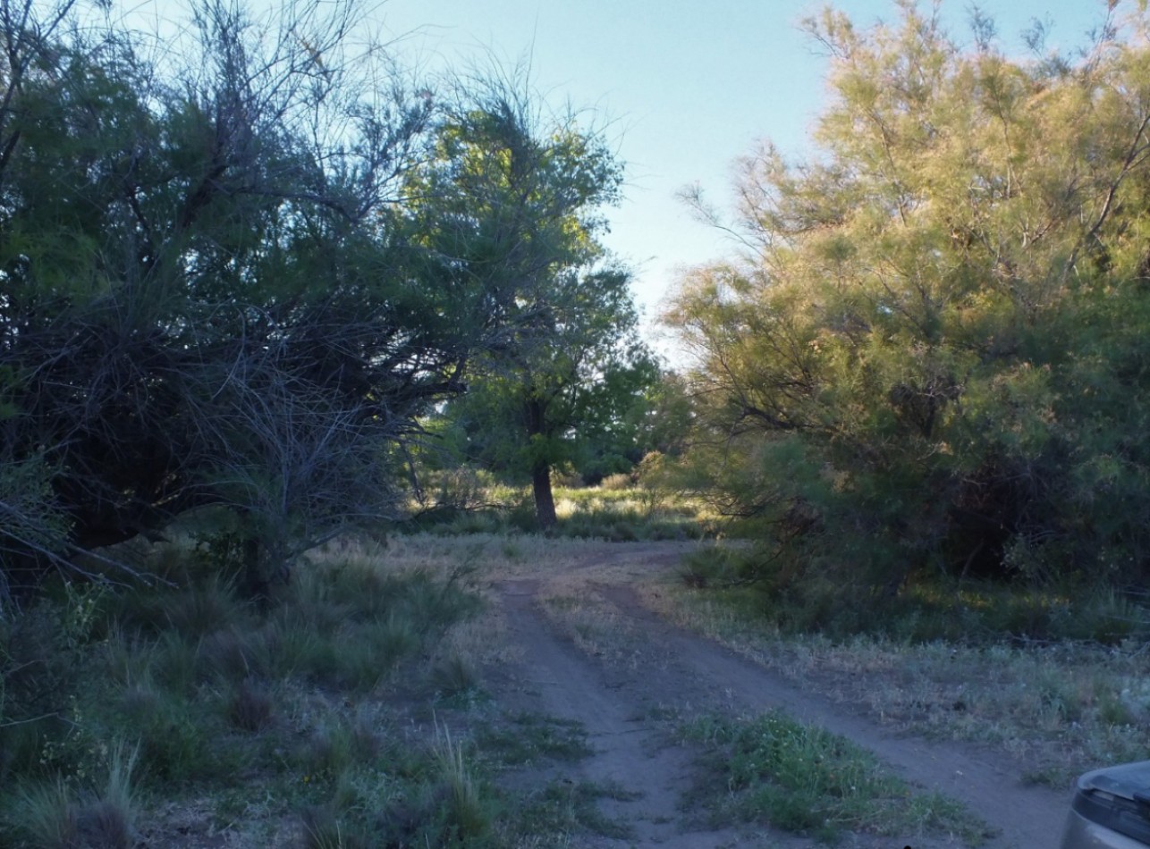 Campo de 96ha en Rio Negro