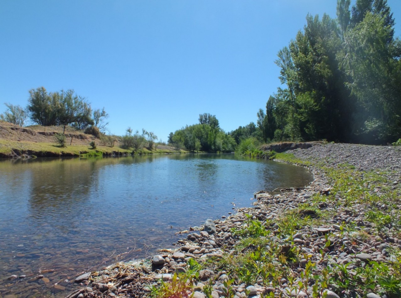 Campo de 96ha en Rio Negro