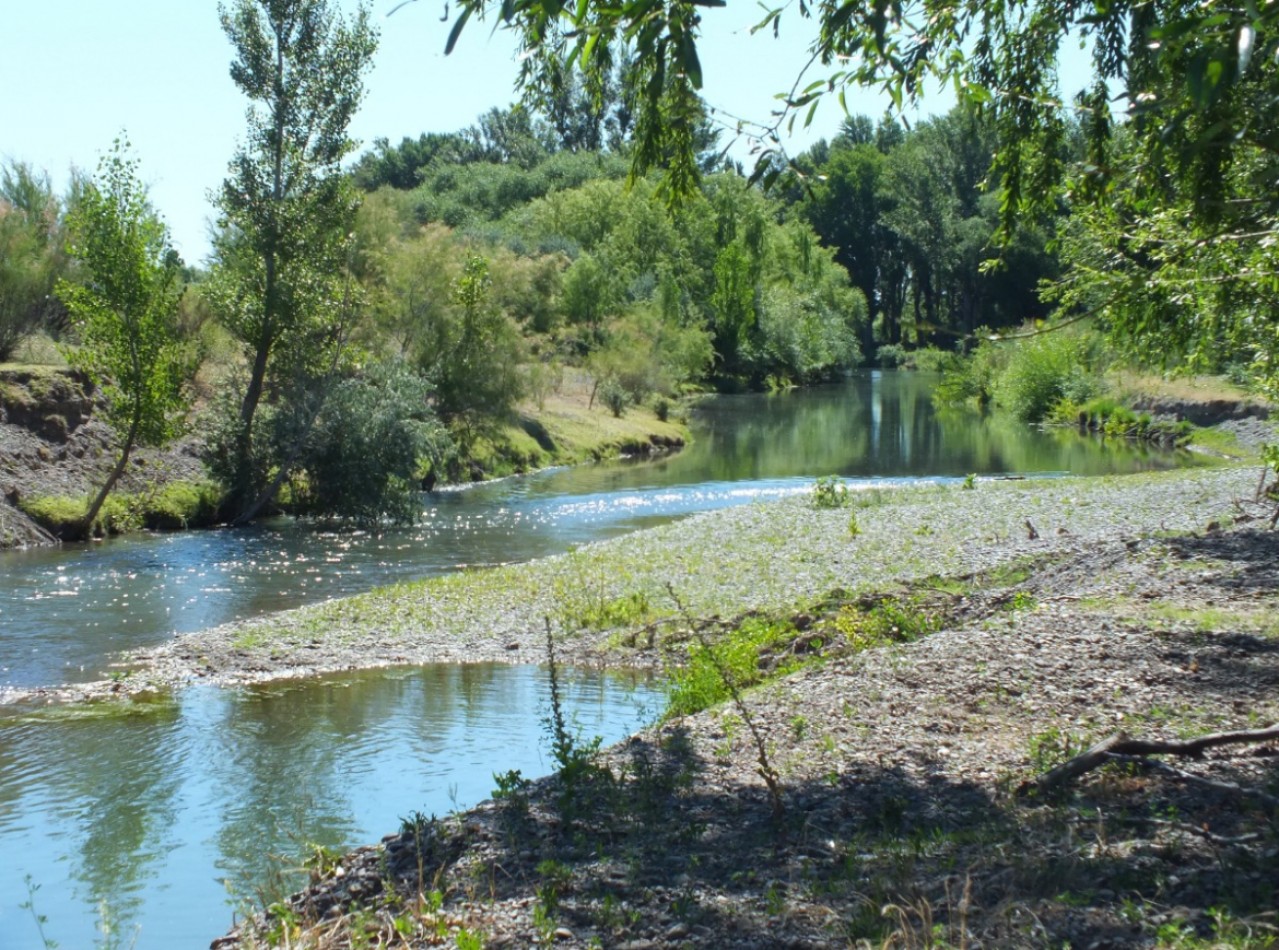 Campo de 96ha en Rio Negro