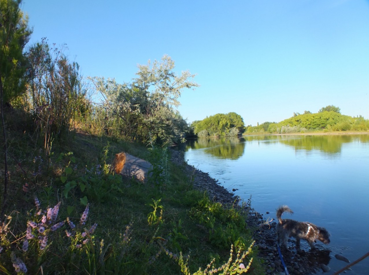 Campo de 96ha en Rio Negro