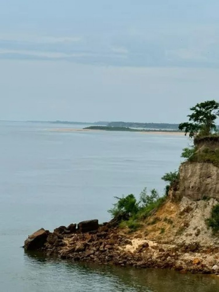 Campo sobre el Rio Parana 70 Ha