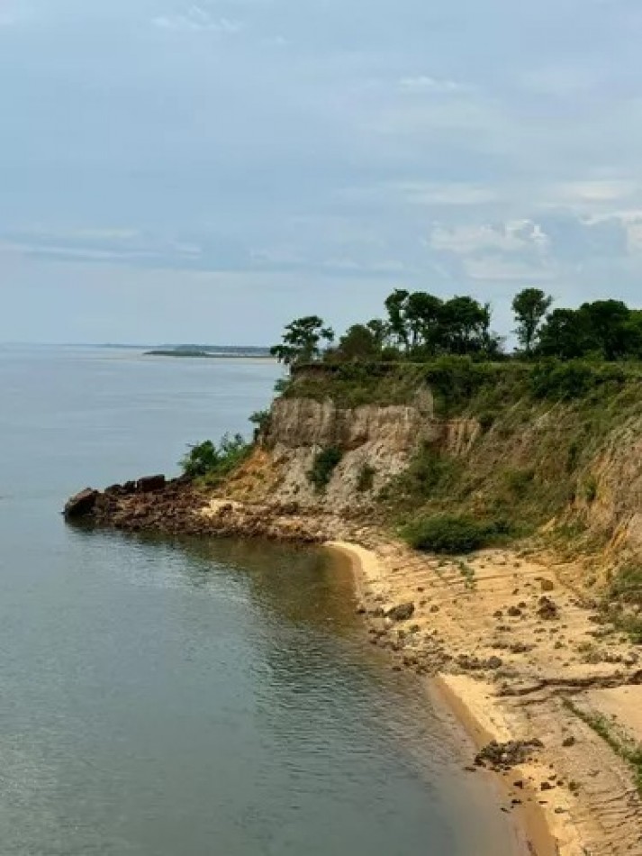 Campo sobre el Rio Parana 70 Ha