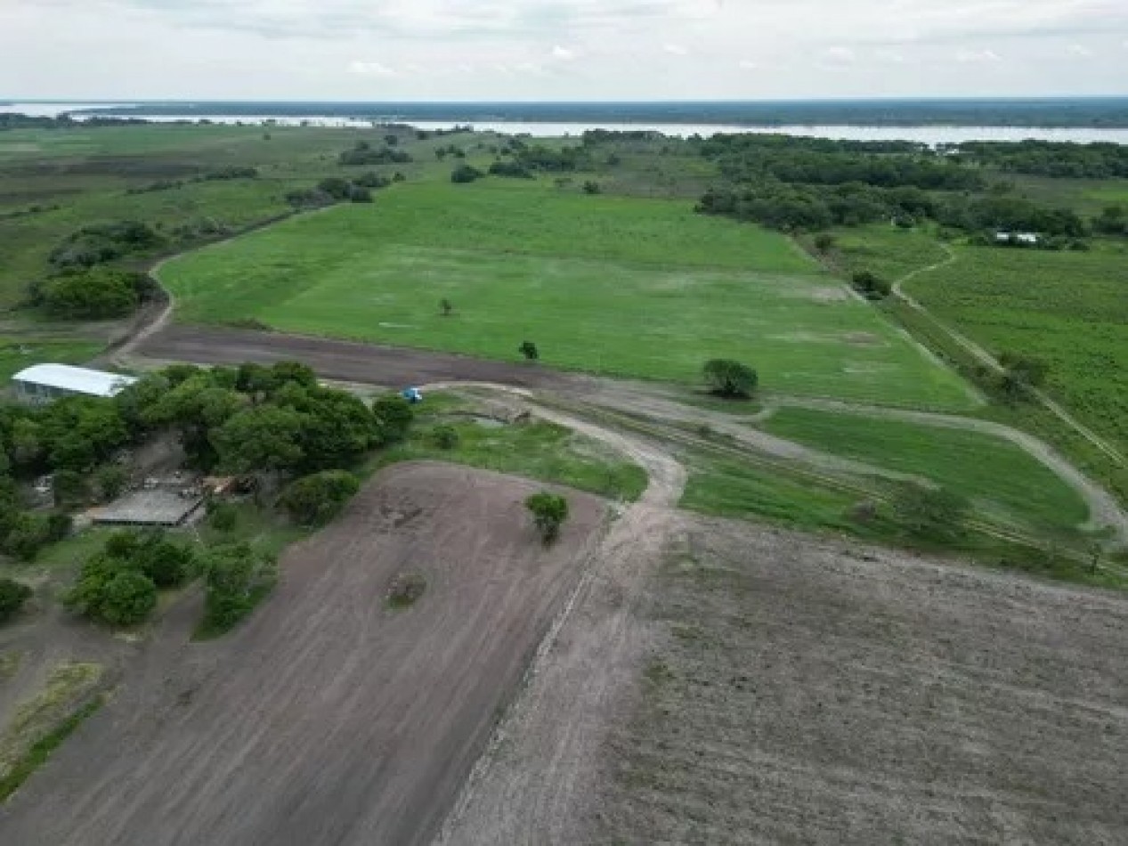 Campo sobre el Rio Parana 70 Ha