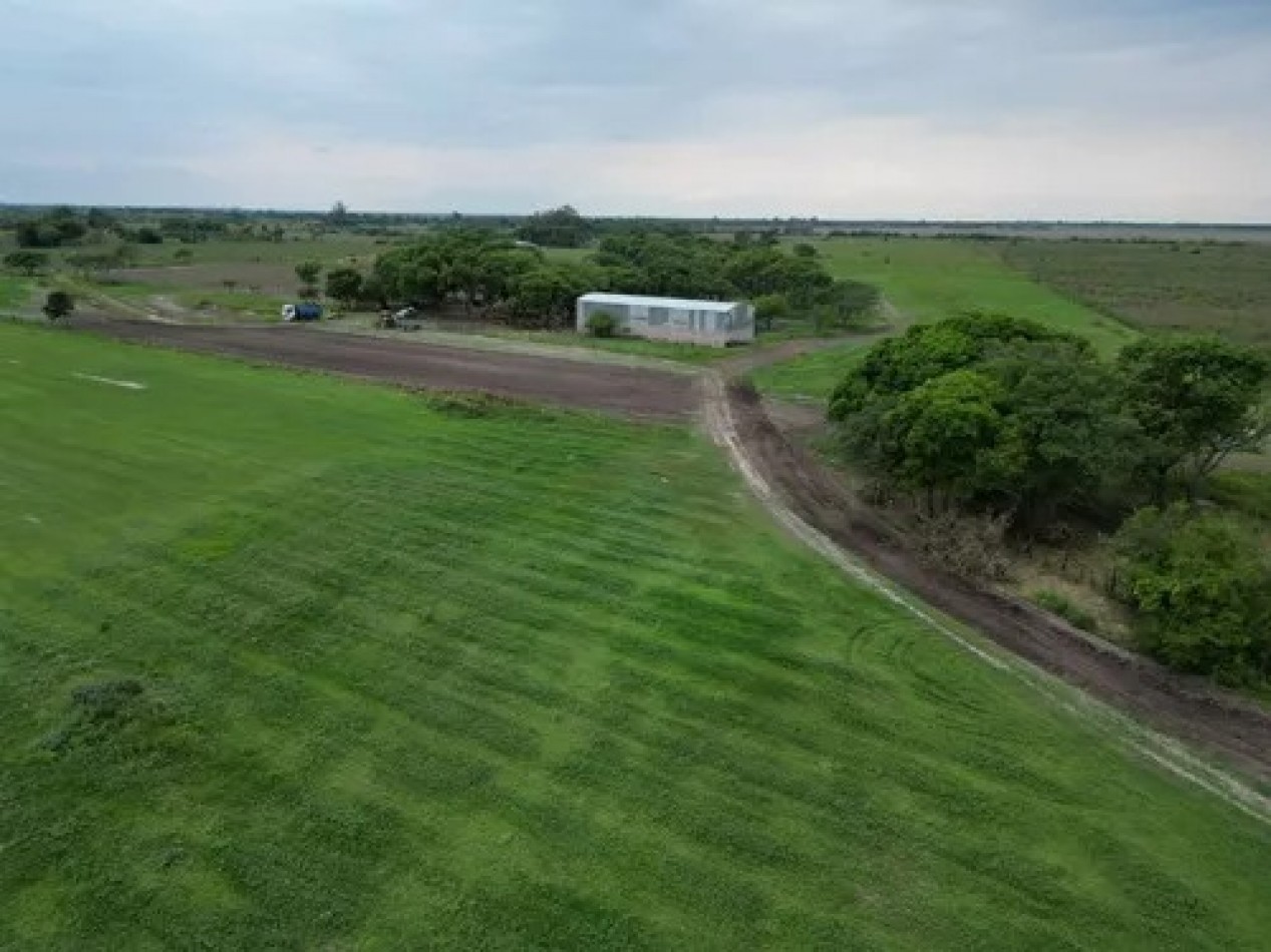 Campo sobre el Rio Parana 70 Ha