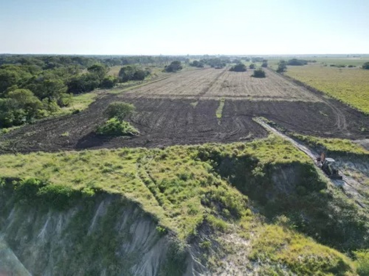 Campo sobre el Rio Parana 70 Ha