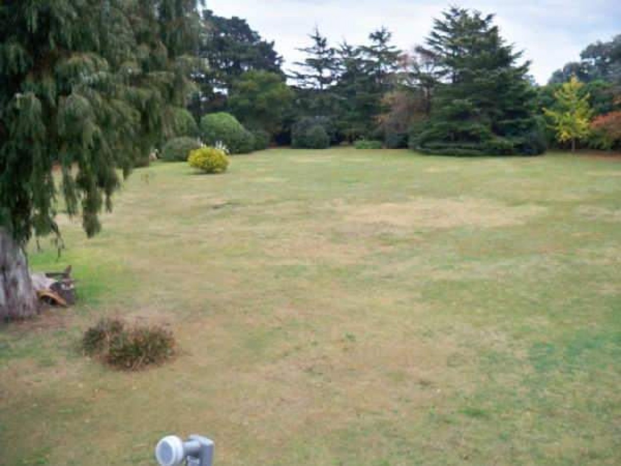 CASA QUINTA DE 6 AMBIENTES SOBRE UNA SUPERFICIE DE 1 HECTAREA DE PARQUE