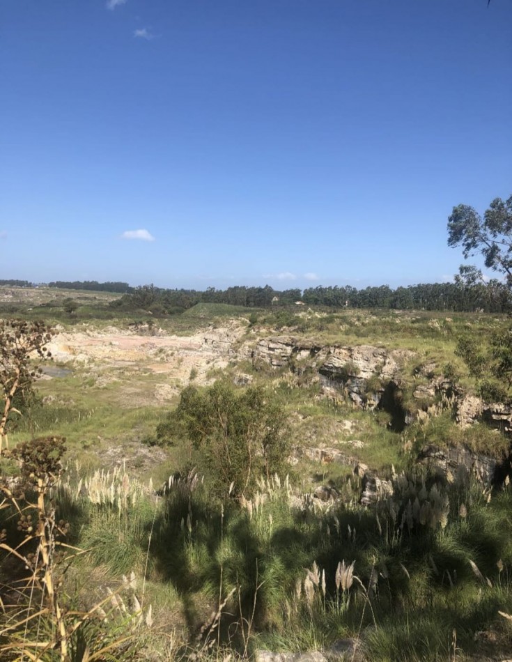 CAMPO DE 43 HECTAREAS EN ESTACION CHAPADMALAL, BATAN VENDE O PERMUTA