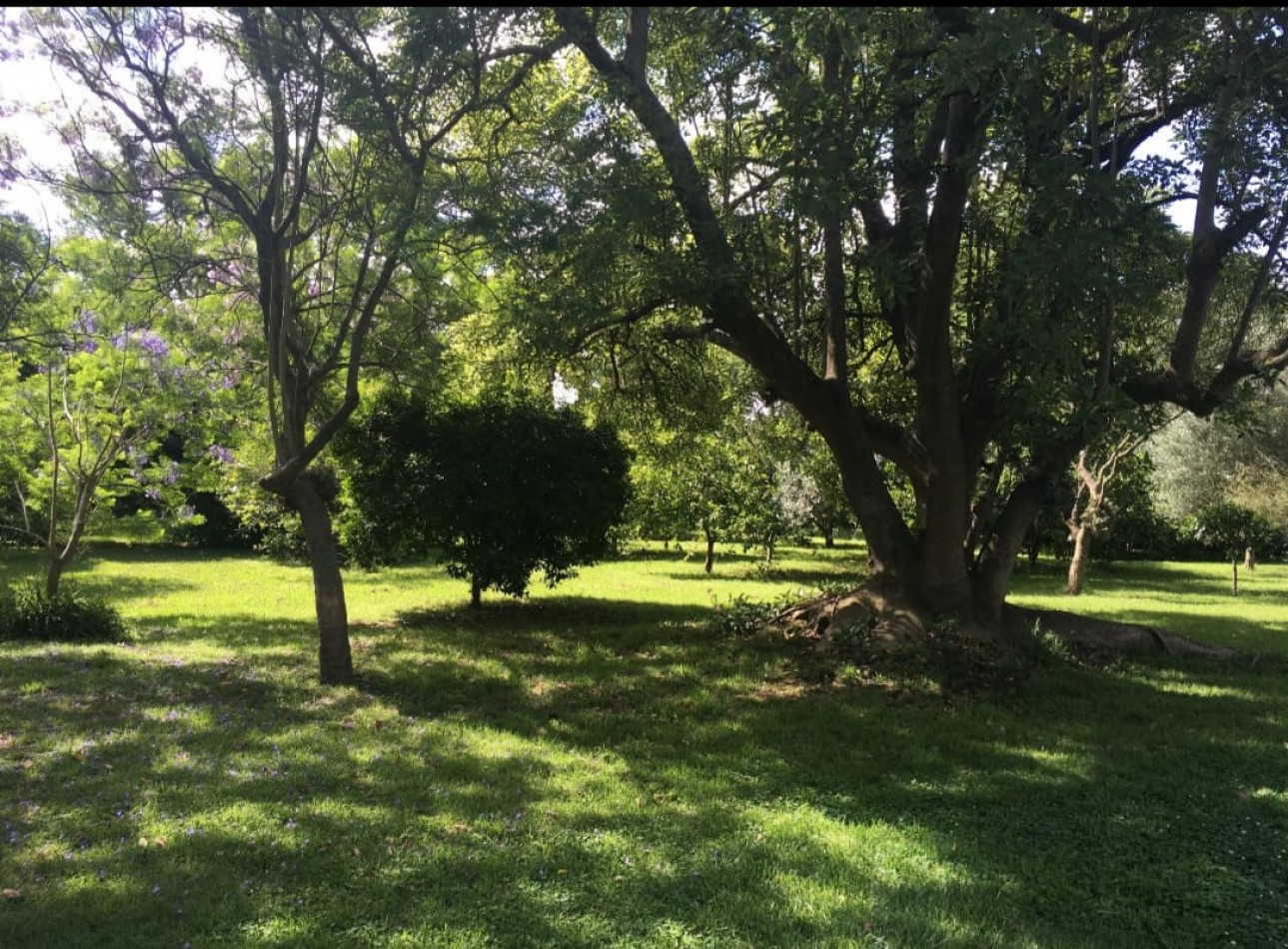 CAMPO DE 43 HECTAREAS EN ESTACION CHAPADMALAL, BATAN VENDE O PERMUTA