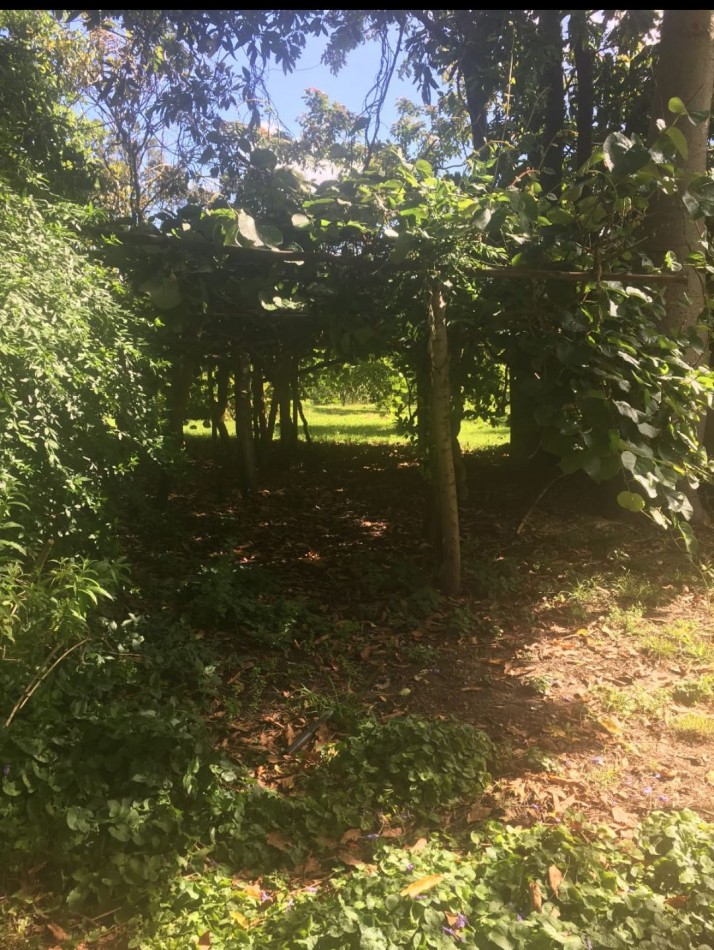 CAMPO DE 43 HECTAREAS EN ESTACION CHAPADMALAL, BATAN VENDE O PERMUTA