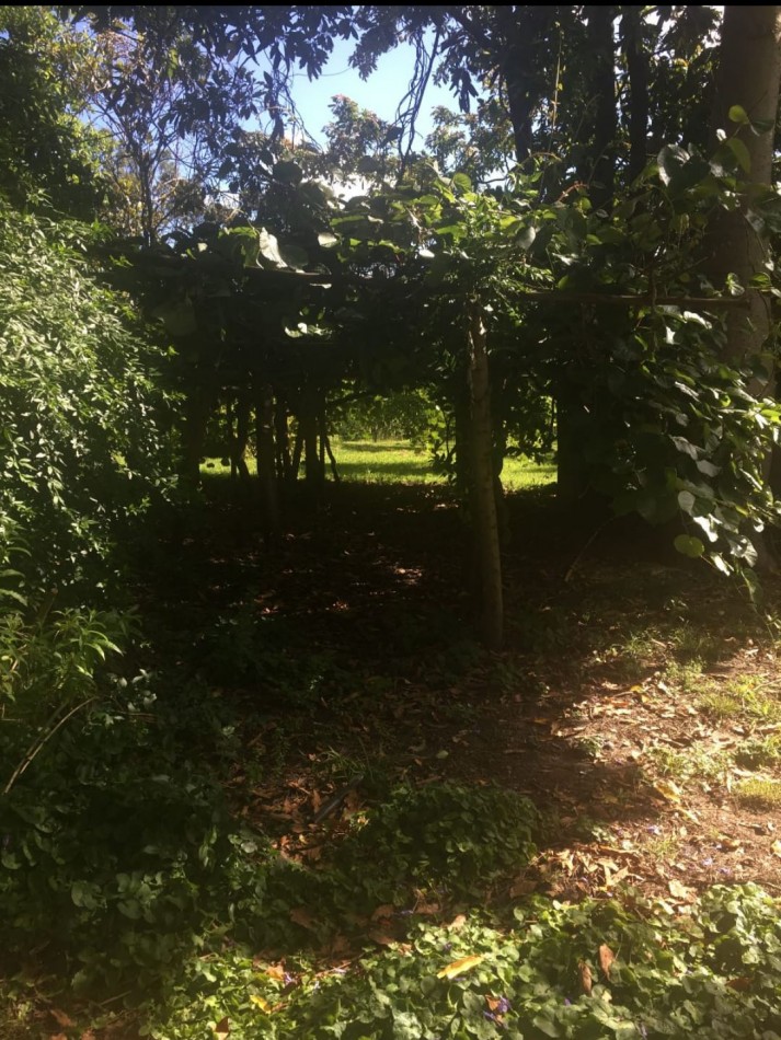 CAMPO DE 43 HECTAREAS EN ESTACION CHAPADMALAL, BATAN VENDE O PERMUTA