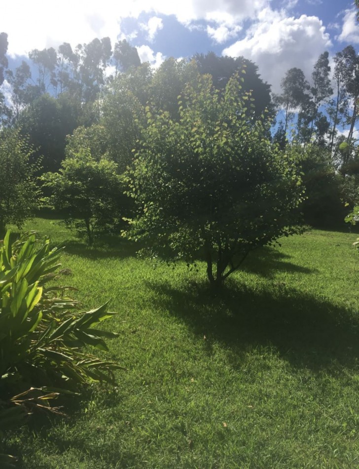 CAMPO DE 43 HECTAREAS EN ESTACION CHAPADMALAL, BATAN VENDE O PERMUTA