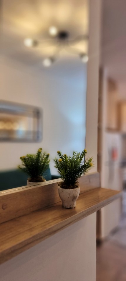 MONOAMBIENTE AL FRENTE CON BALCON TOTALMENTE RECICLADO- PLAZA COLON -